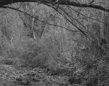 a.dicecco_ciocheresta_fotografia01_comunicazione