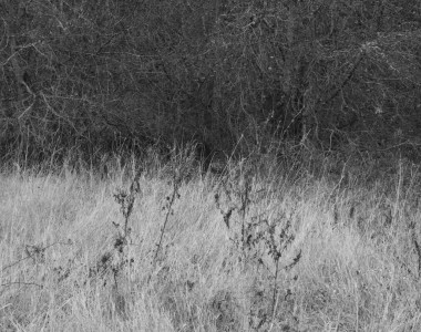 a.dicecco_ciocheresta_fotografia03_comunicazione